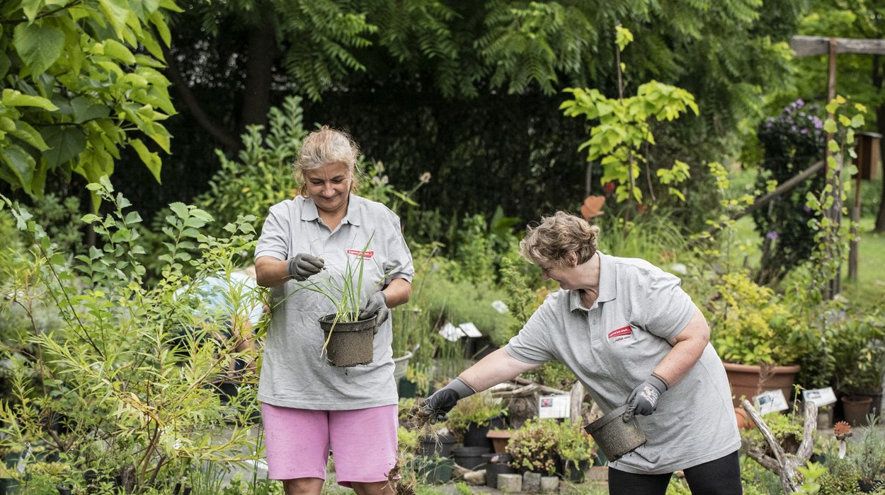 Zwei Frauen arbeiten in einem Garten und topfen gerade Pflanzen um