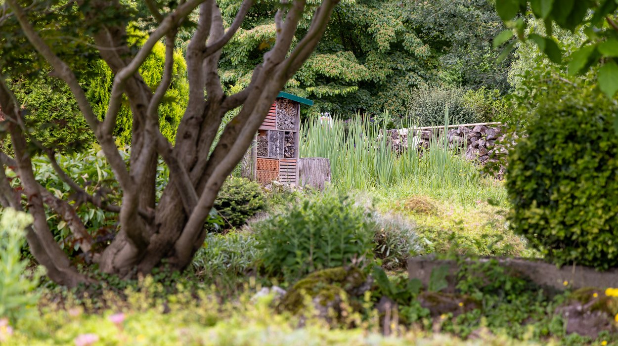 Insektenhotel_Klimaschutzgarten_Jugend-am-Werk-Steiermark Blick in den Klimaschutzgarten.