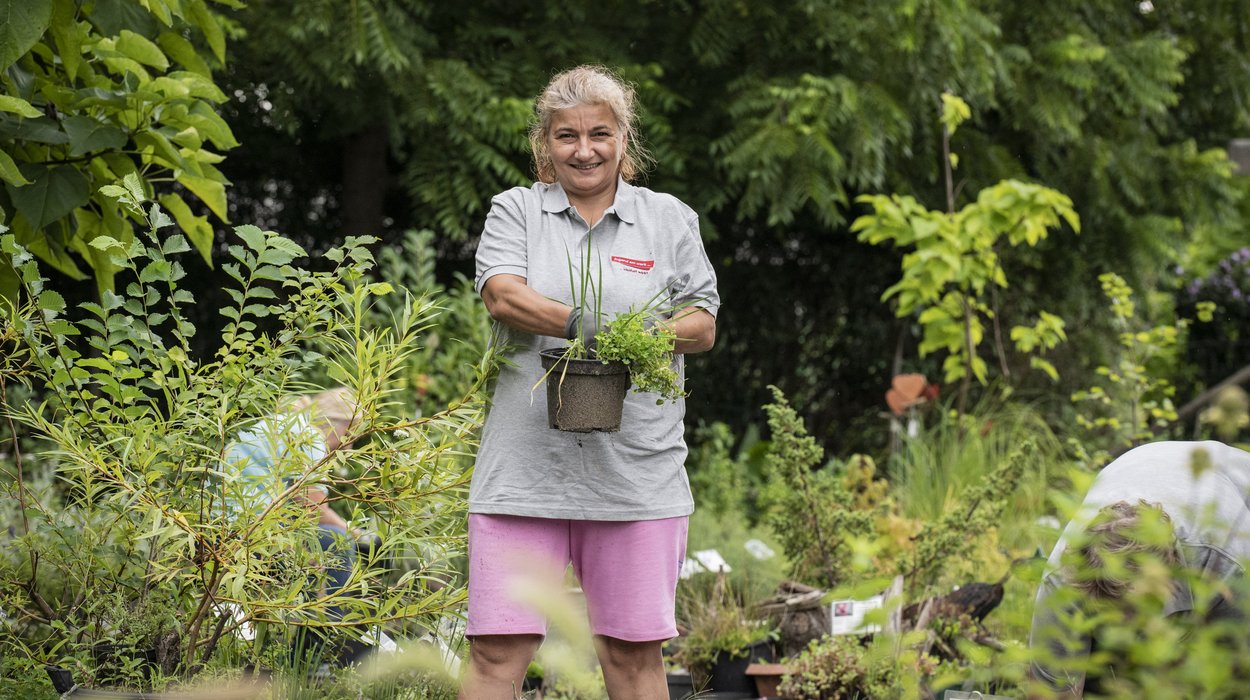 Gemeinnuetzige-Beschaeftigung_Jugend-am-Werk-Steiermark Frau mit frisch umgetopfter Pflanze.
